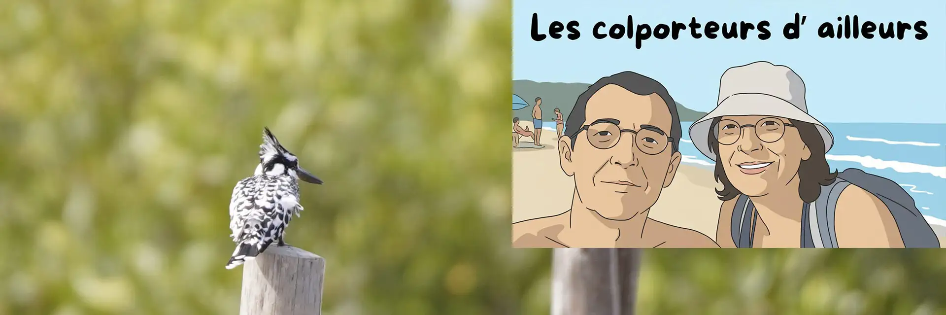 lescolporteursdailleurs